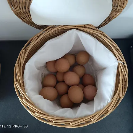 Szálloda Isalos Jerakiní