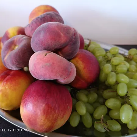 Isalos Szálloda Jerakiní