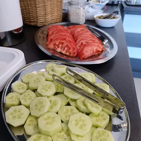 호텔 Isalos *