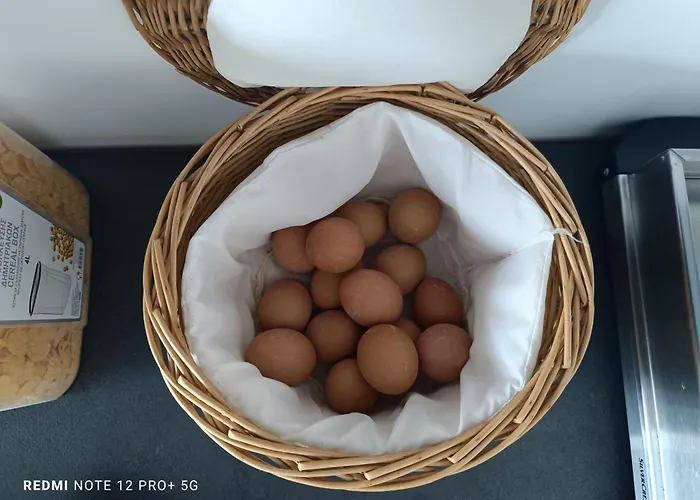 Hotel Isalos Gerakini